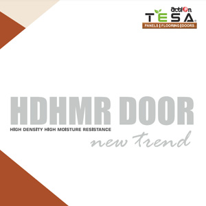 HDHMR Door