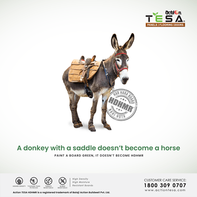 A donkey with a saddle doesn't become a horse